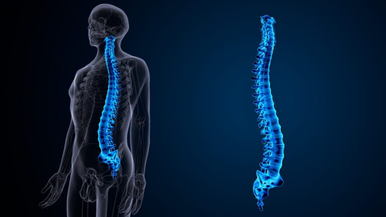 Read more about the article What is a Spinal Injury?