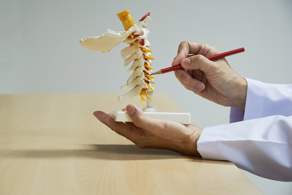 Read more about the article Different Types of Spine Diseases