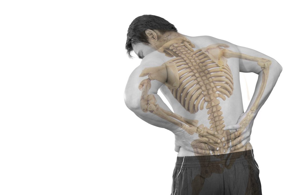 Things To Know About The Spine