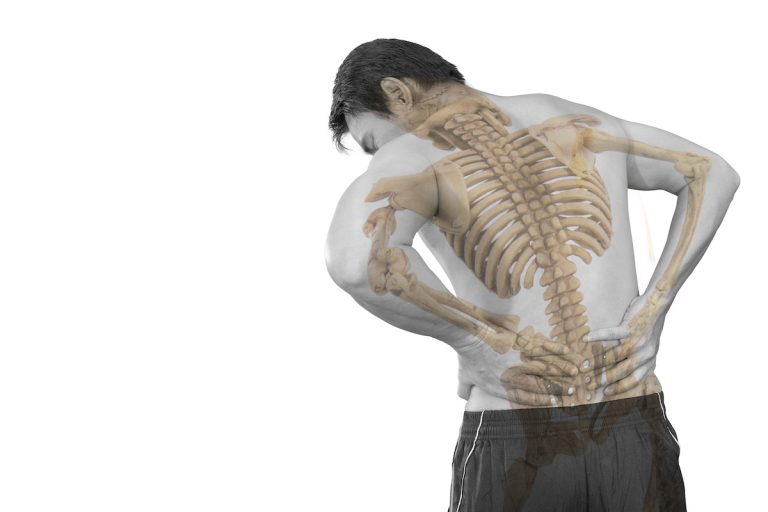 Read more about the article Things To Know About The Spine