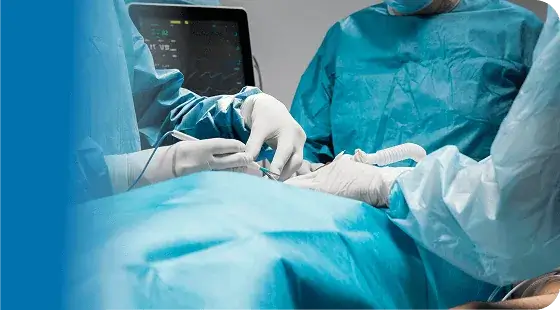 spinedocs
